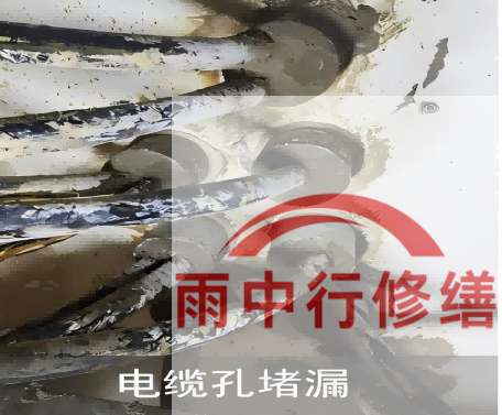 温州电缆线空洞堵漏加固案例