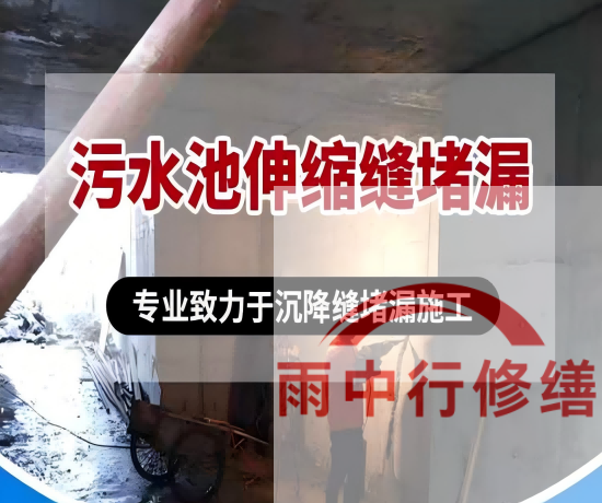 温州某污水处理厂钢筋混凝土池堵漏案例